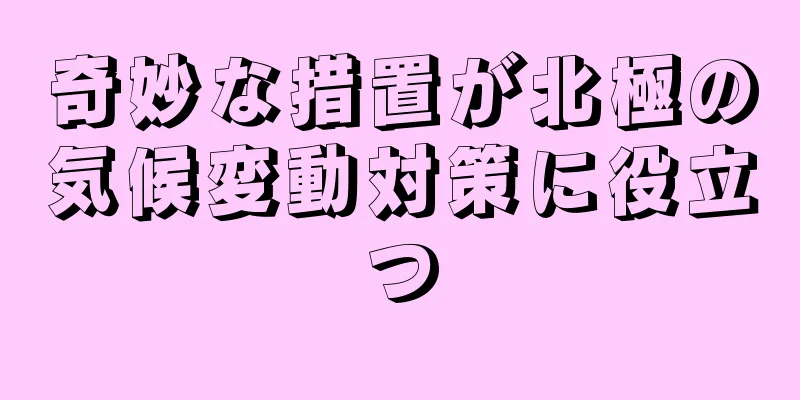 奇妙な措置が北極の気候変動対策に役立つ