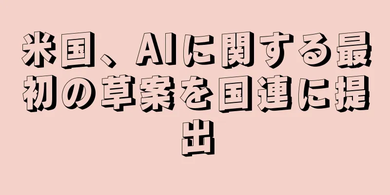 米国、AIに関する最初の草案を国連に提出