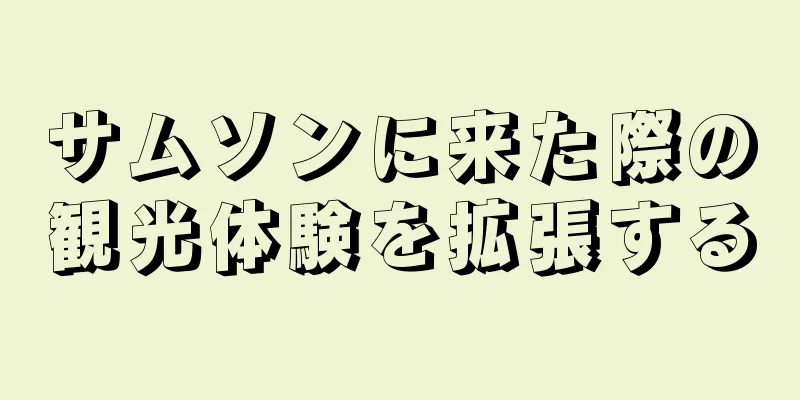 サムソンに来た際の観光体験を拡張する