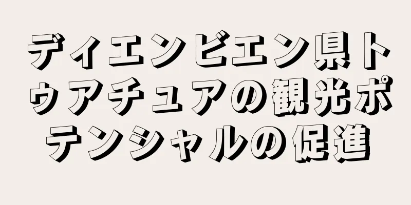 ディエンビエン県トゥアチュアの観光ポテンシャルの促進