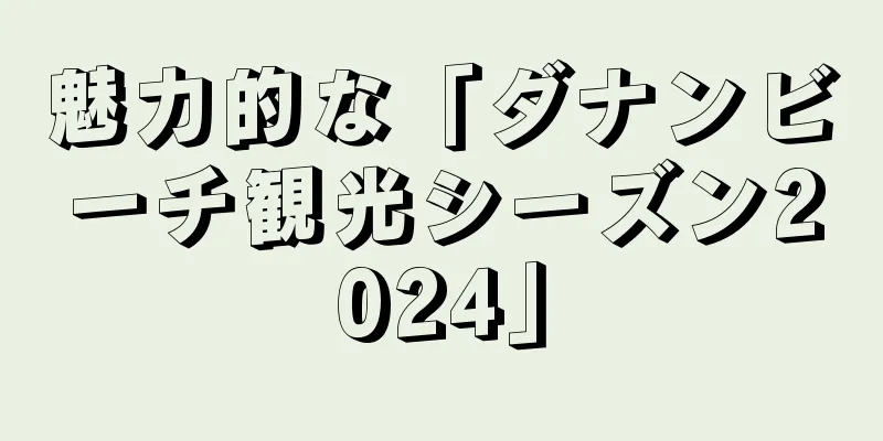 魅力的な「ダナンビーチ観光シーズン2024」