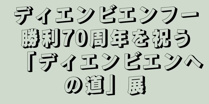 ディエンビエンフー勝利70周年を祝う「ディエンビエンへの道」展