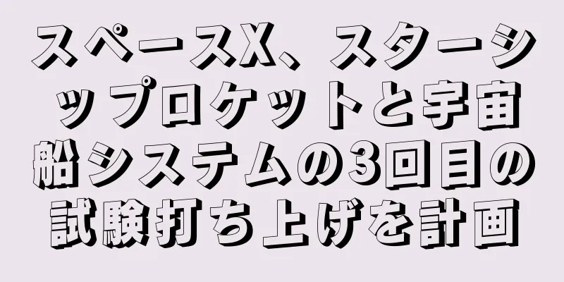 スペースX、スターシップロケットと宇宙船システムの3回目の試験打ち上げを計画