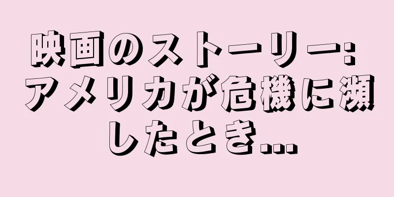 映画のストーリー: アメリカが危機に瀕したとき...