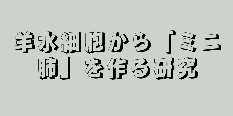 羊水細胞から「ミニ肺」を作る研究