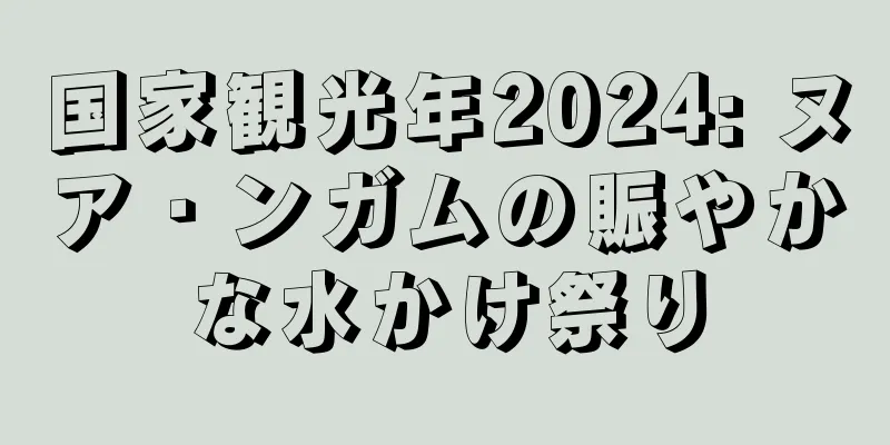 国家観光年2024: ヌア・ンガムの賑やかな水かけ祭り