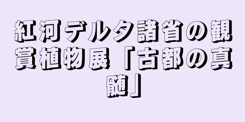 紅河デルタ諸省の観賞植物展「古都の真髄」