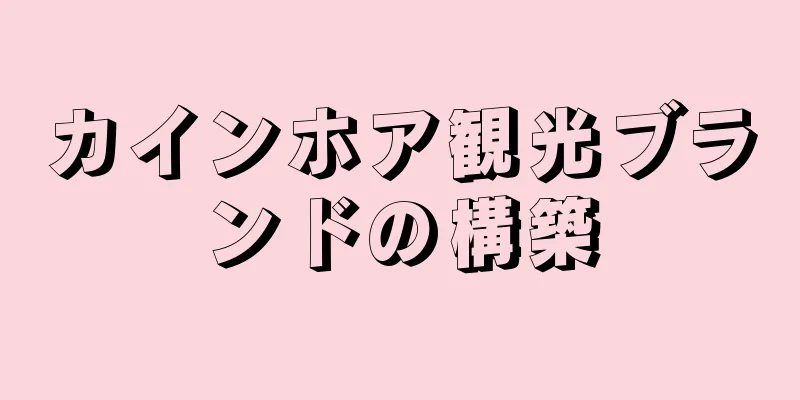 カインホア観光ブランドの構築