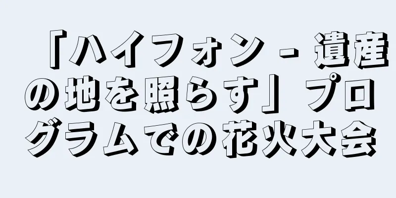 「ハイフォン - 遺産の地を照らす」プログラムでの花火大会