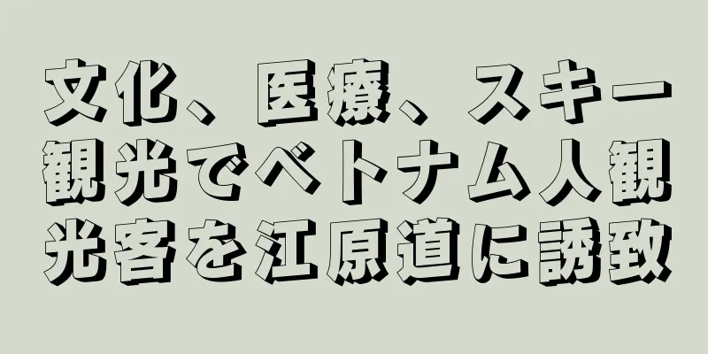 文化、医療、スキー観光でベトナム人観光客を江原道に誘致