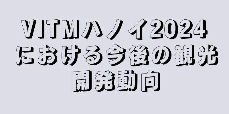 VITMハノイ2024における今後の観光開発動向