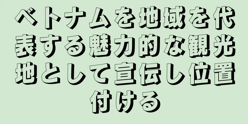 ベトナムを地域を代表する魅力的な観光地として宣伝し位置付ける