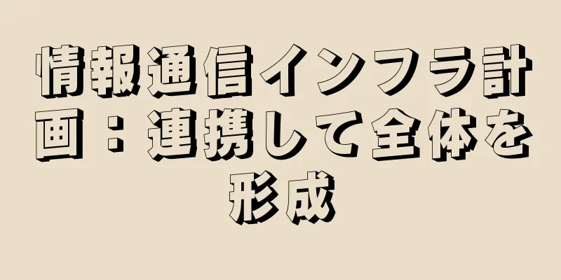 情報通信インフラ計画：連携して全体を形成