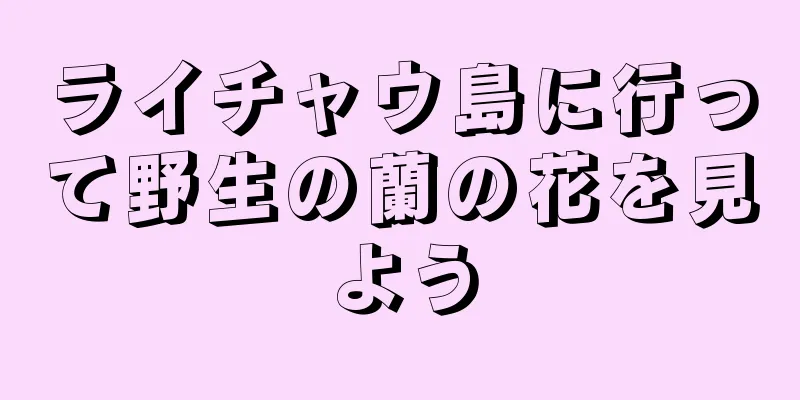 ライチャウ島に行って野生の蘭の花を見よう