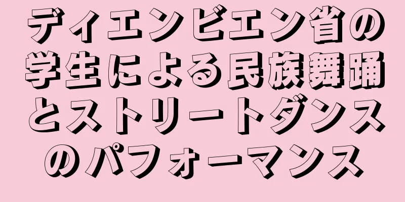 ディエンビエン省の学生による民族舞踊とストリートダンスのパフォーマンス