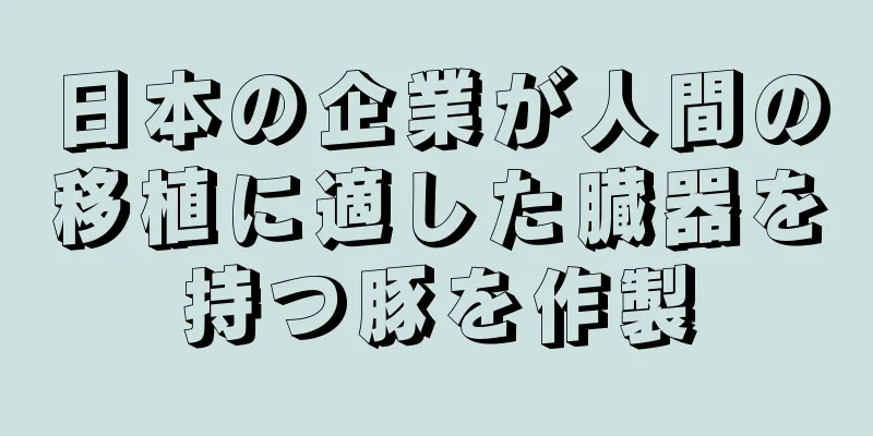 日本の企業が人間の移植に適した臓器を持つ豚を作製