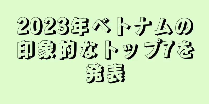2023年ベトナムの印象的なトップ7を発表