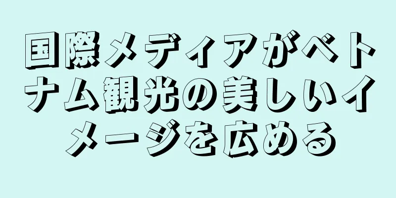 国際メディアがベトナム観光の美しいイメージを広める