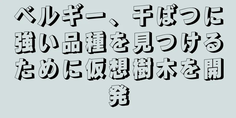 ベルギー、干ばつに強い品種を見つけるために仮想樹木を開発