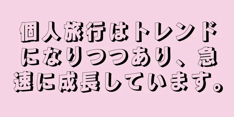 個人旅行はトレンドになりつつあり、急速に成長しています。