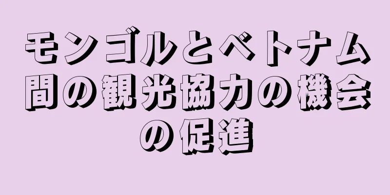 モンゴルとベトナム間の観光協力の機会の促進