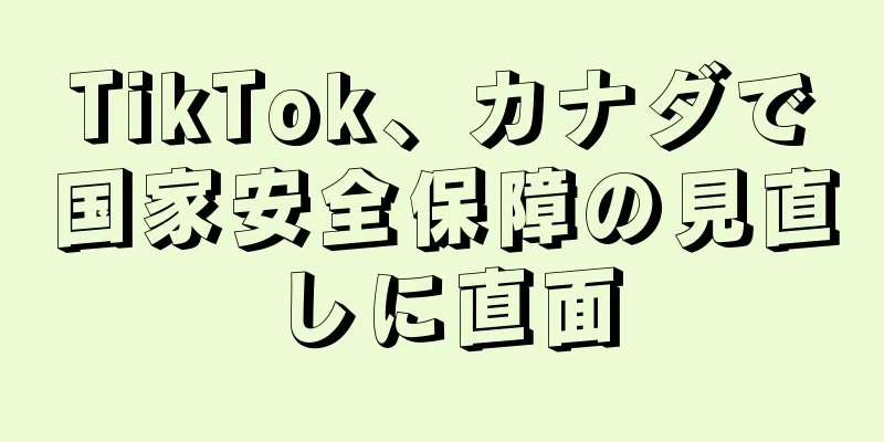 TikTok、カナダで国家安全保障の見直しに直面