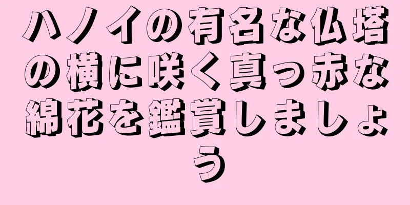 ハノイの有名な仏塔の横に咲く真っ赤な綿花を鑑賞しましょう