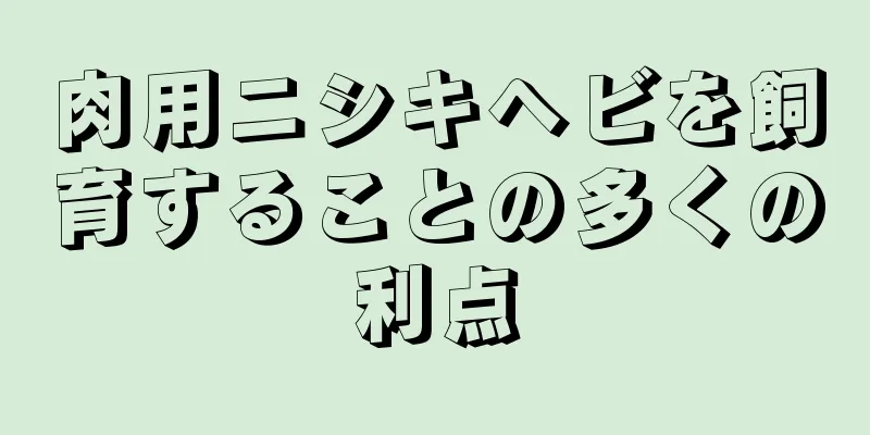 肉用ニシキヘビを飼育することの多くの利点