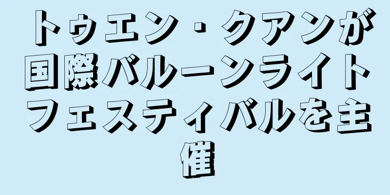 トゥエン・クアンが国際バルーンライトフェスティバルを主催
