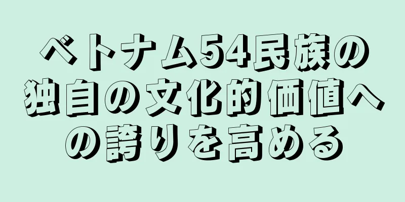 ベトナム54民族の独自の文化的価値への誇りを高める