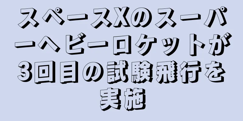 スペースXのスーパーヘビーロケットが3回目の試験飛行を実施
