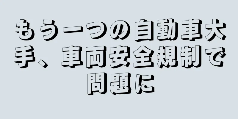もう一つの自動車大手、車両安全規制で問題に