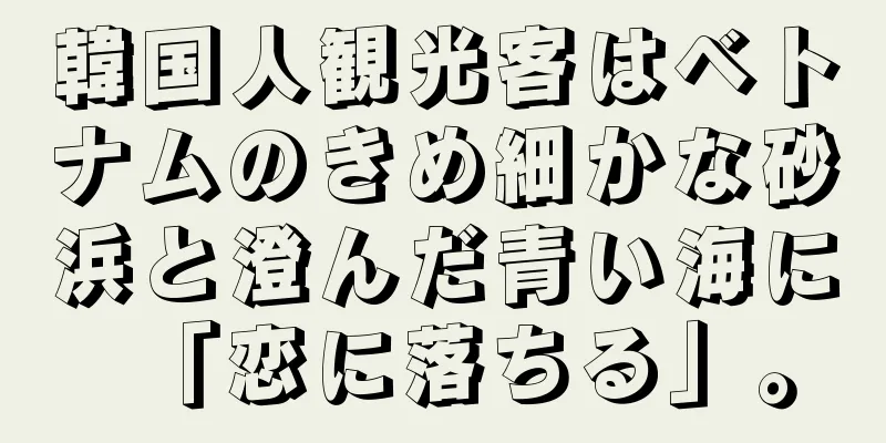 韓国人観光客はベトナムのきめ細かな砂浜と澄んだ青い海に「恋に落ちる」。