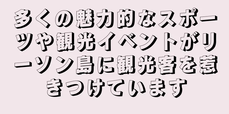 多くの魅力的なスポーツや観光イベントがリーソン島に観光客を惹きつけています