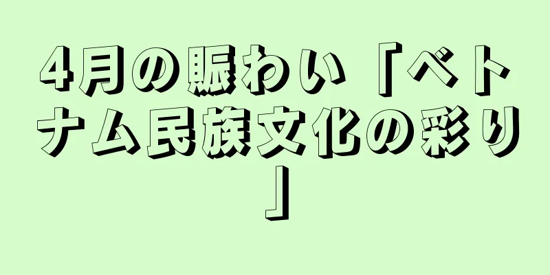 4月の賑わい「ベトナム民族文化の彩り」