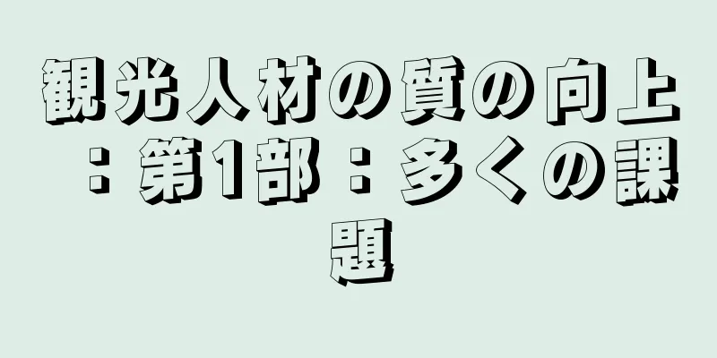 観光人材の質の向上：第1部：多くの課題