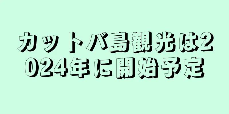 カットバ島観光は2024年に開始予定