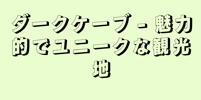 ダークケーブ - 魅力的でユニークな観光地