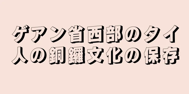 ゲアン省西部のタイ人の銅鑼文化の保存
