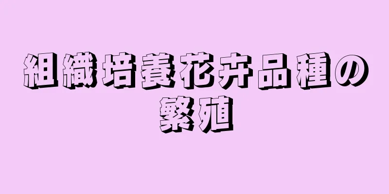 組織培養花卉品種の繁殖