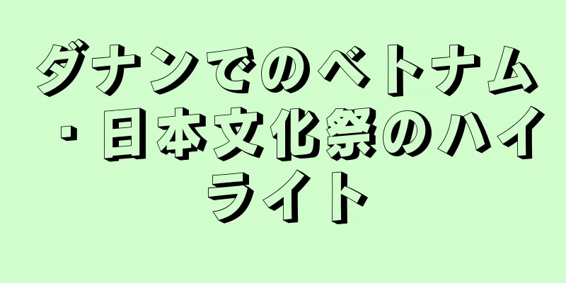 ダナンでのベトナム・日本文化祭のハイライト