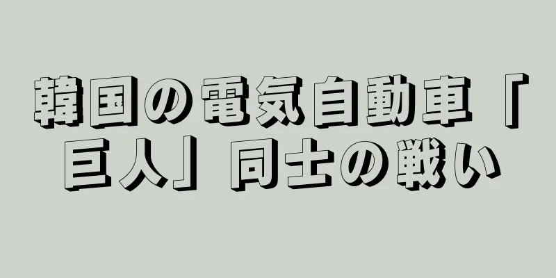 韓国の電気自動車「巨人」同士の戦い