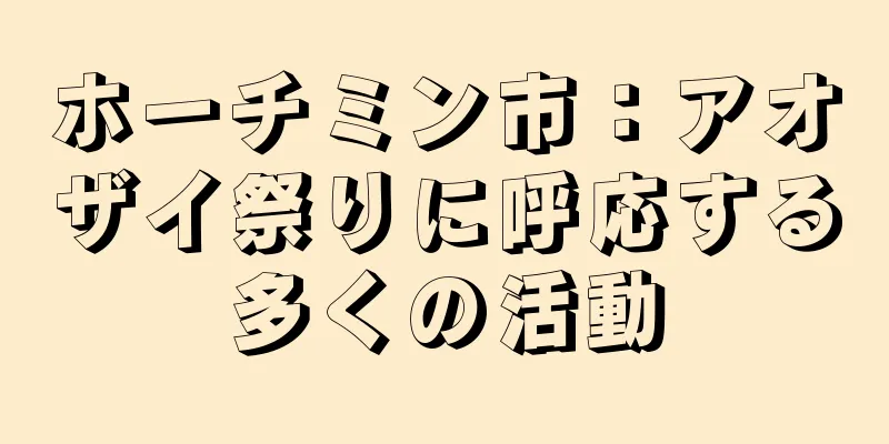 ホーチミン市：アオザイ祭りに呼応する多くの活動