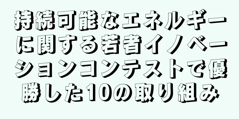 持続可能なエネルギーに関する若者イノベーションコンテストで優勝した10の取り組み
