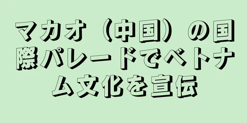 マカオ（中国）の国際パレードでベトナム文化を宣伝