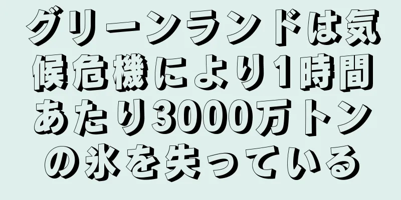 グリーンランドは気候危機により1時間あたり3000万トンの氷を失っている