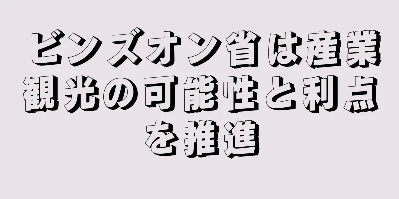 ビンズオン省は産業観光の可能性と利点を推進