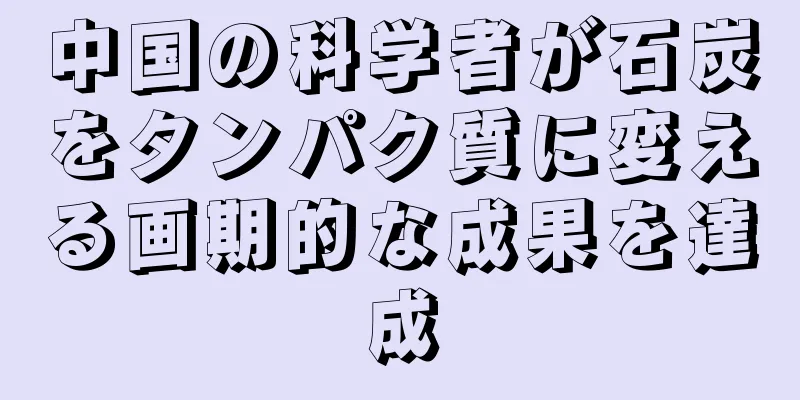 中国の科学者が石炭をタンパク質に変える画期的な成果を達成
