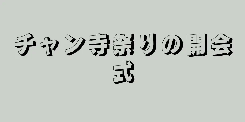 チャン寺祭りの開会式