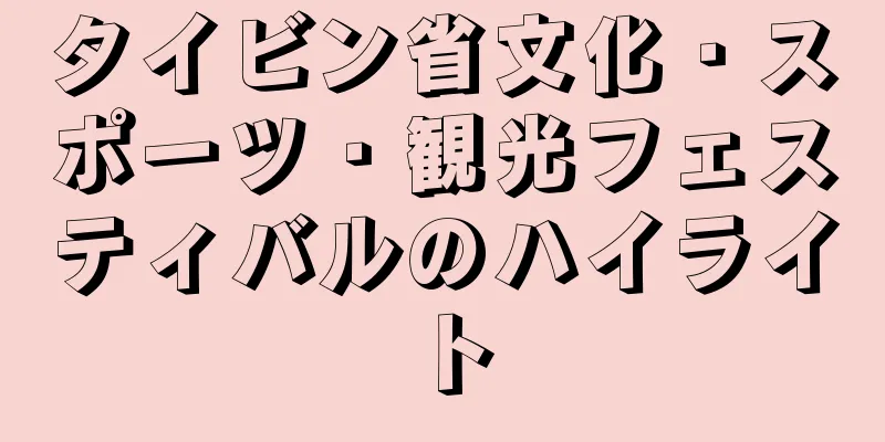 タイビン省文化・スポーツ・観光フェスティバルのハイライト